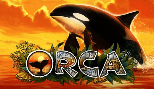 Orca